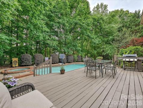17405 Lynx Den Court Davidson NC 28036
