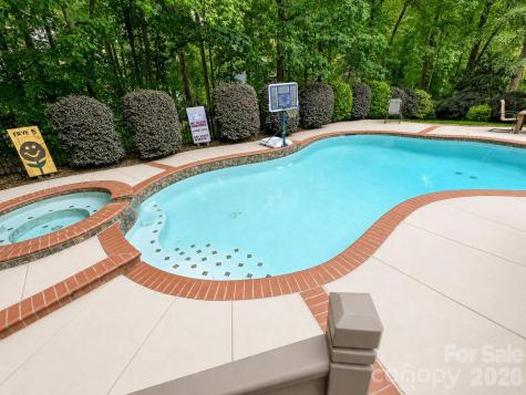 17405 Lynx Den Court Davidson NC 28036