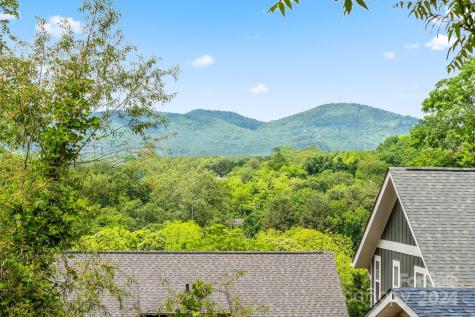 11 Annie Street Asheville NC 28806