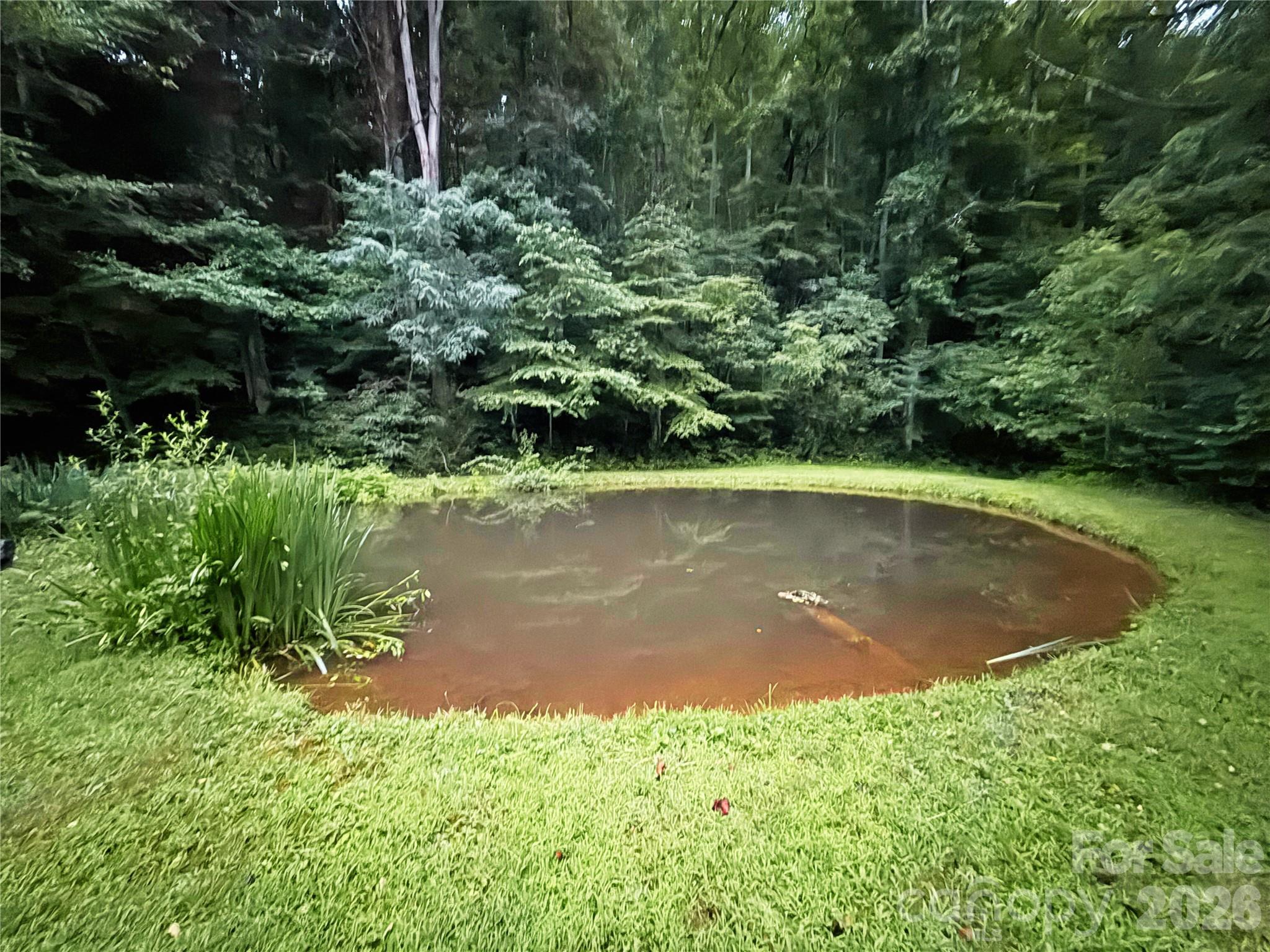 226 Wildcat Mountain Trail Sylva NC 28779