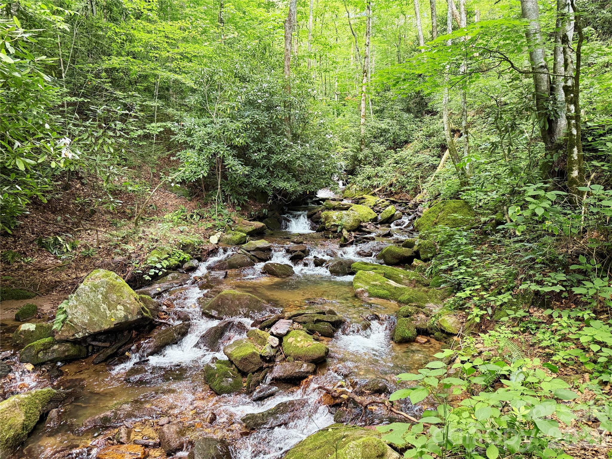 226 Wildcat Mountain Trail Sylva NC 28779