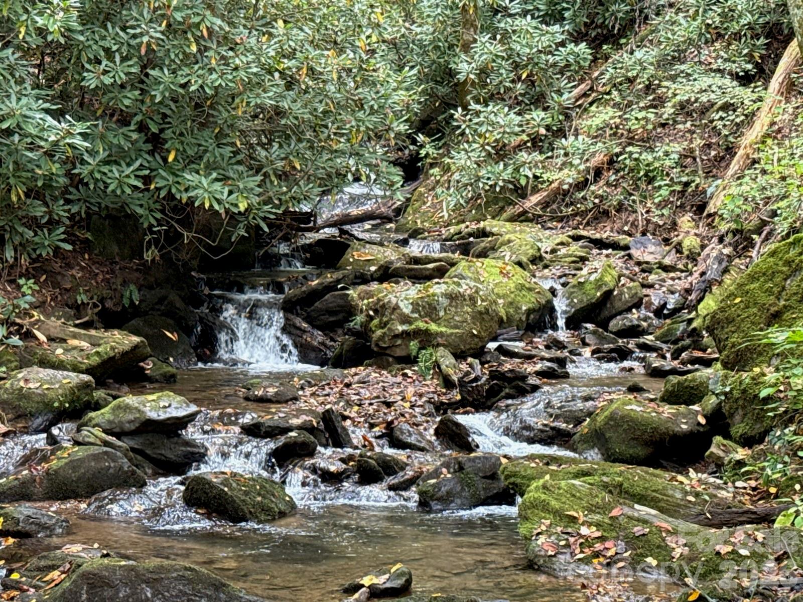226 Wildcat Mountain Trail Sylva NC 28779