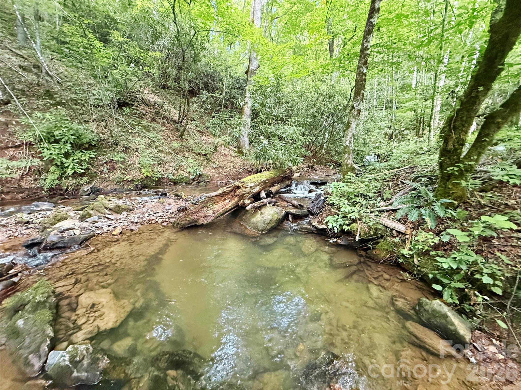 226 Wildcat Mountain Trail Sylva NC 28779