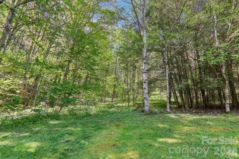 129 Cash Phillips Drive Mars Hill NC 28754
