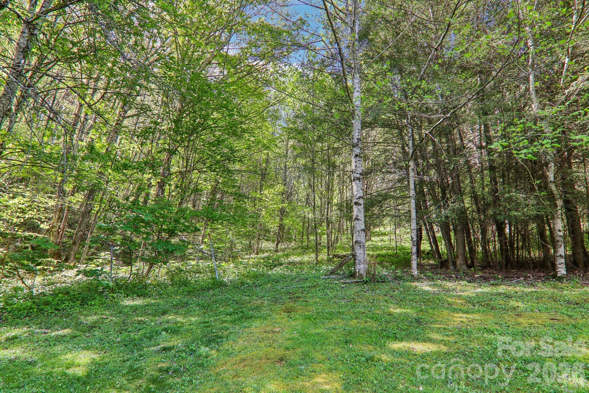 129 Cash Phillips Drive Mars Hill NC 28754