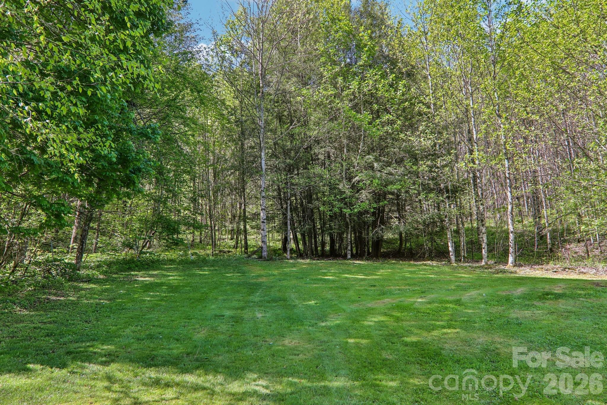 129 Cash Phillips Drive Mars Hill NC 28754
