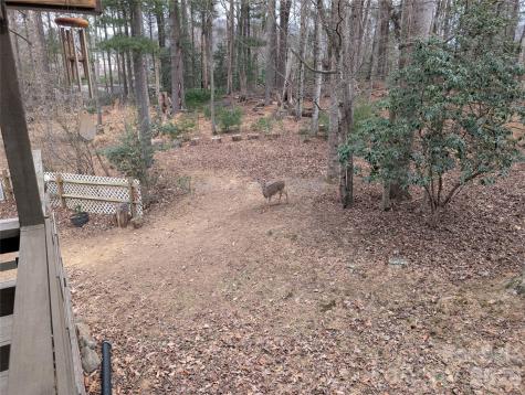 43 Deer Run Drive Asheville NC 28803