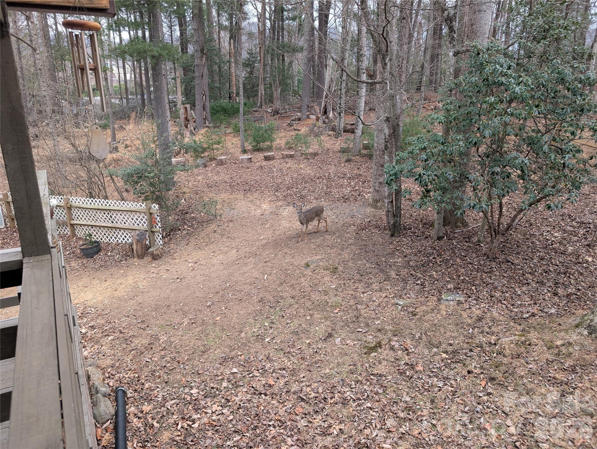 43 Deer Run Drive Asheville NC 28803