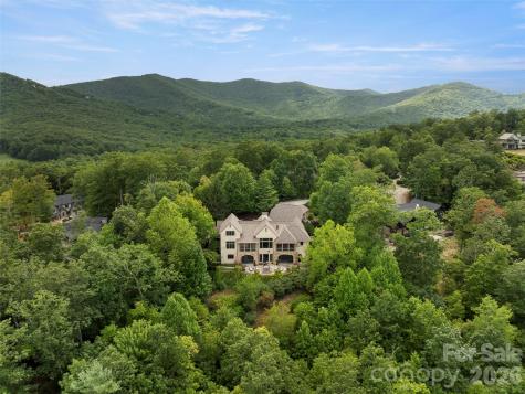 1929 Tree View Trail Arden NC 28704