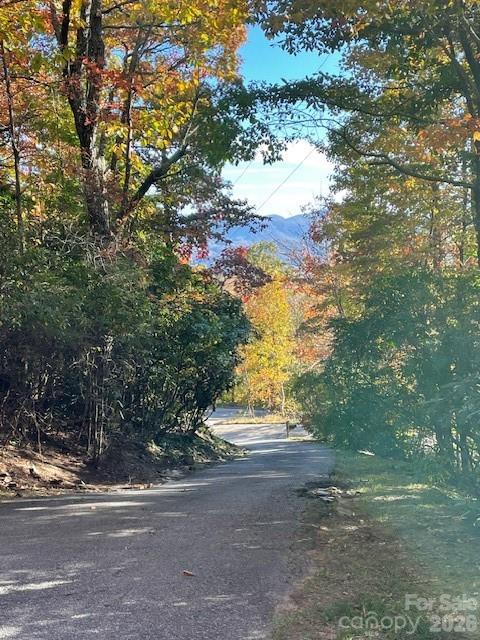 425 Flat Top Mountain Road Fairview NC 28730