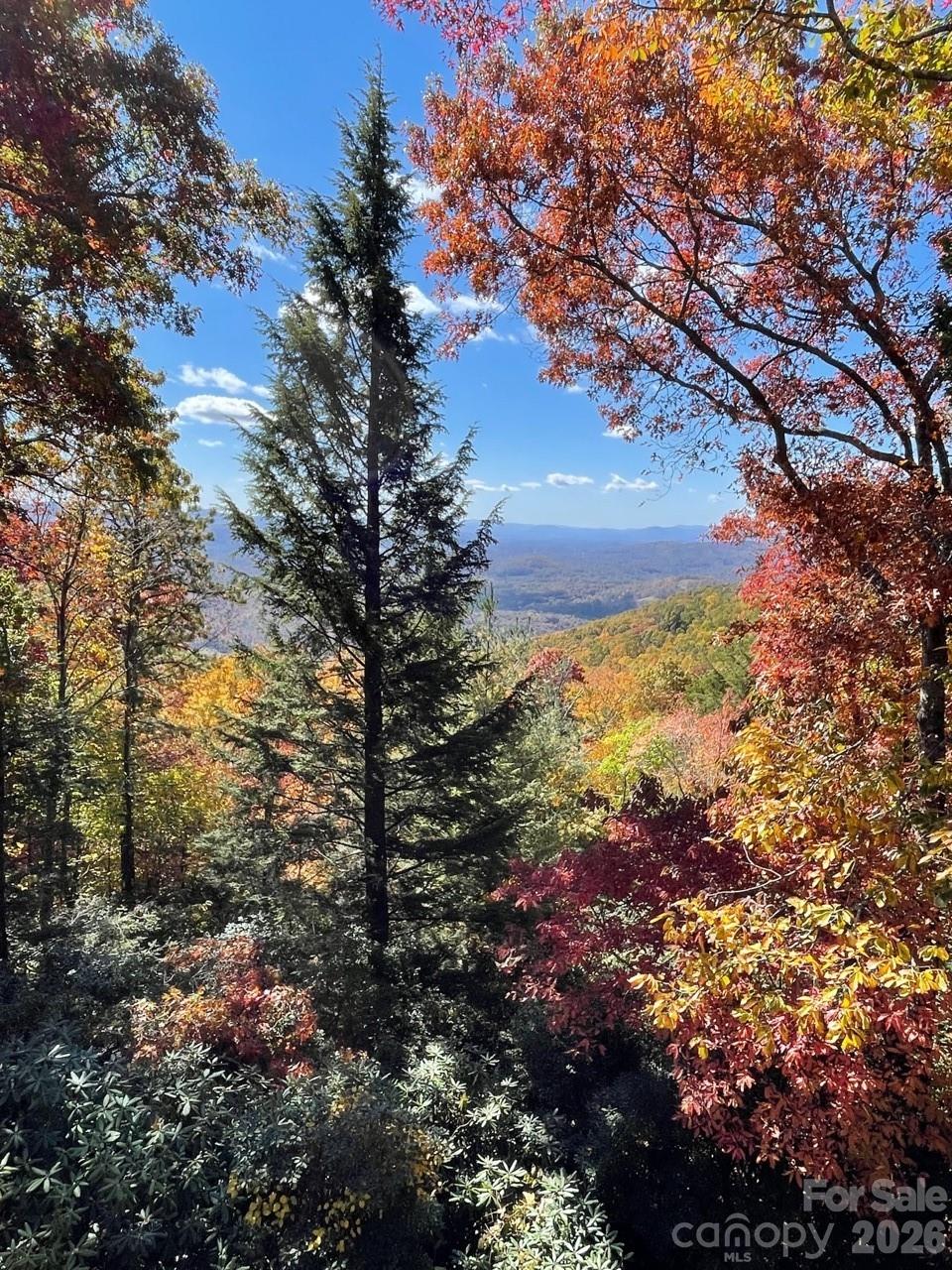 425 Flat Top Mountain Road Fairview NC 28730