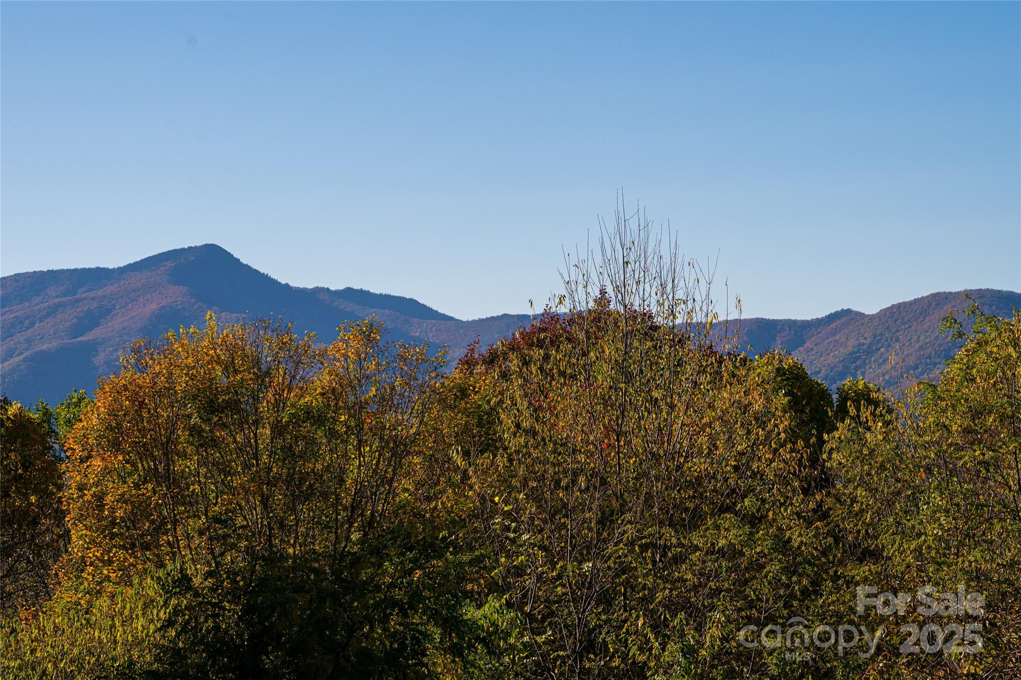 154 Presidential Drive Waynesville NC 28786