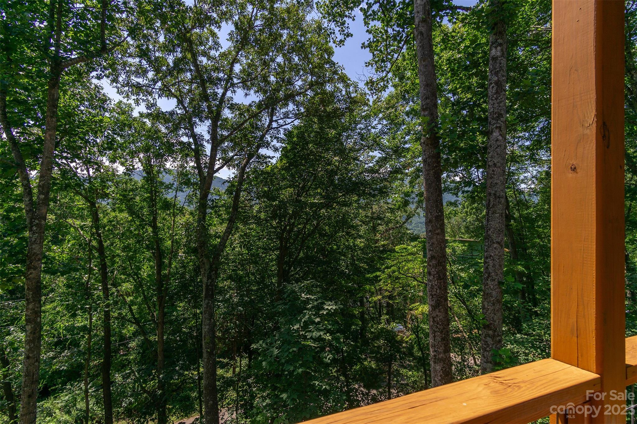 408 Georgia June Lane Swannanoa NC 28778