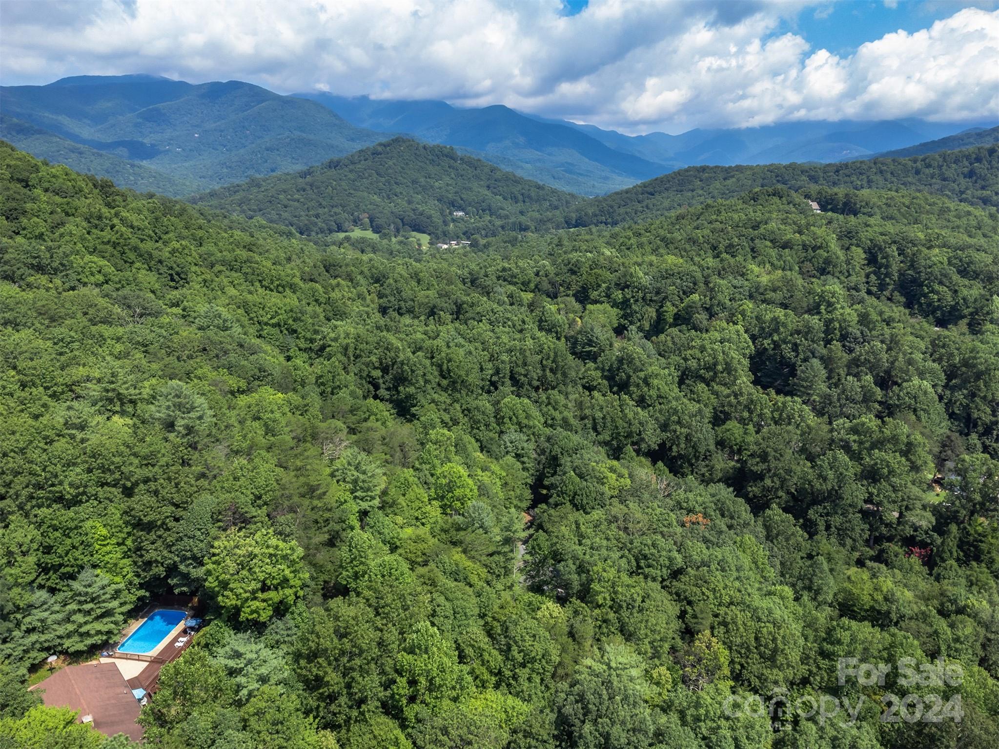 112 Richard Lane Black Mountain NC 28711