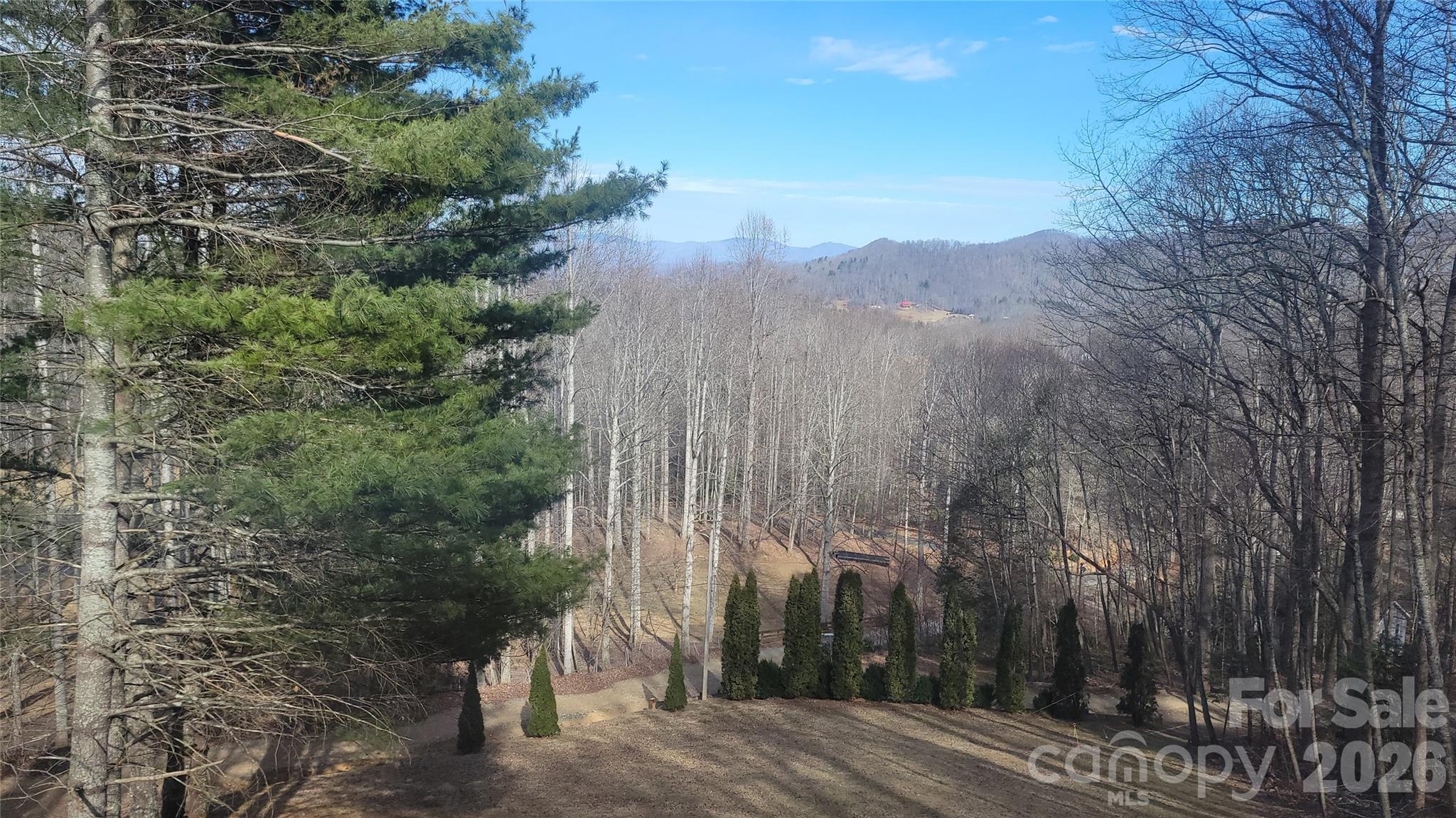 60 Persimmons Lane Burnsville NC 28714