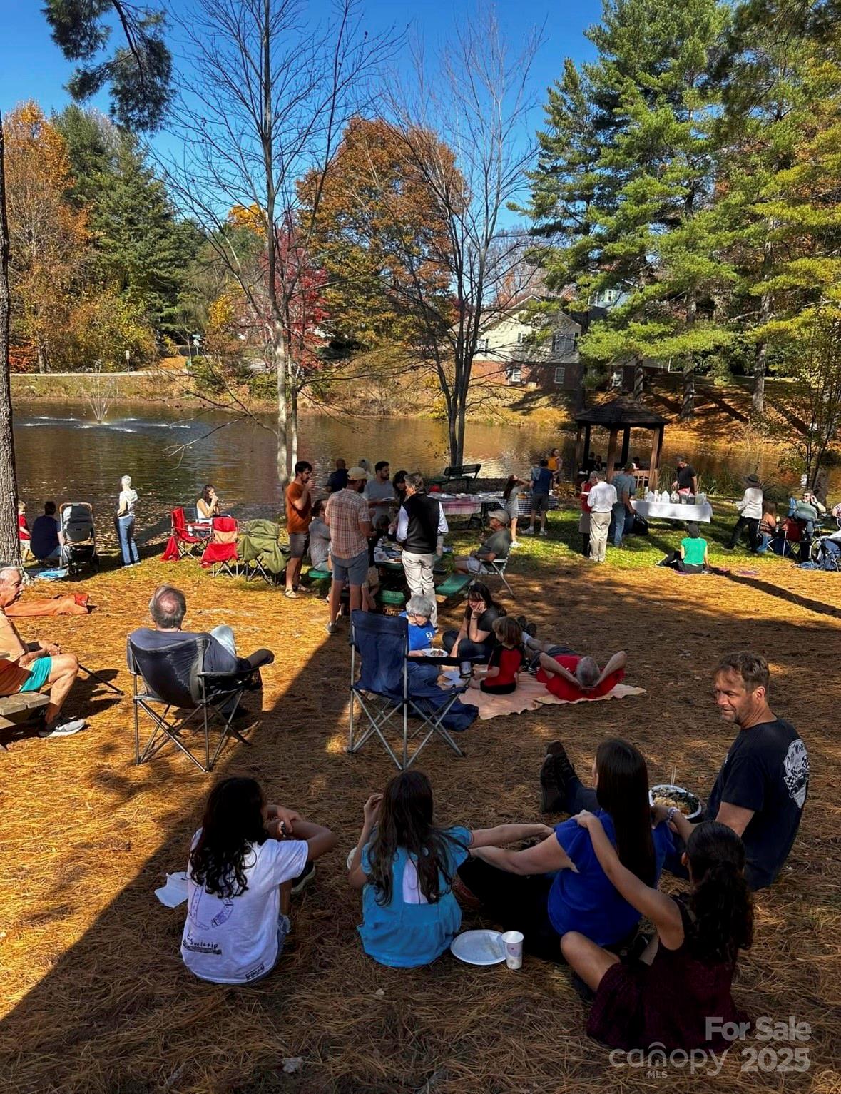 123 Forest Lake Drive Asheville NC 28803