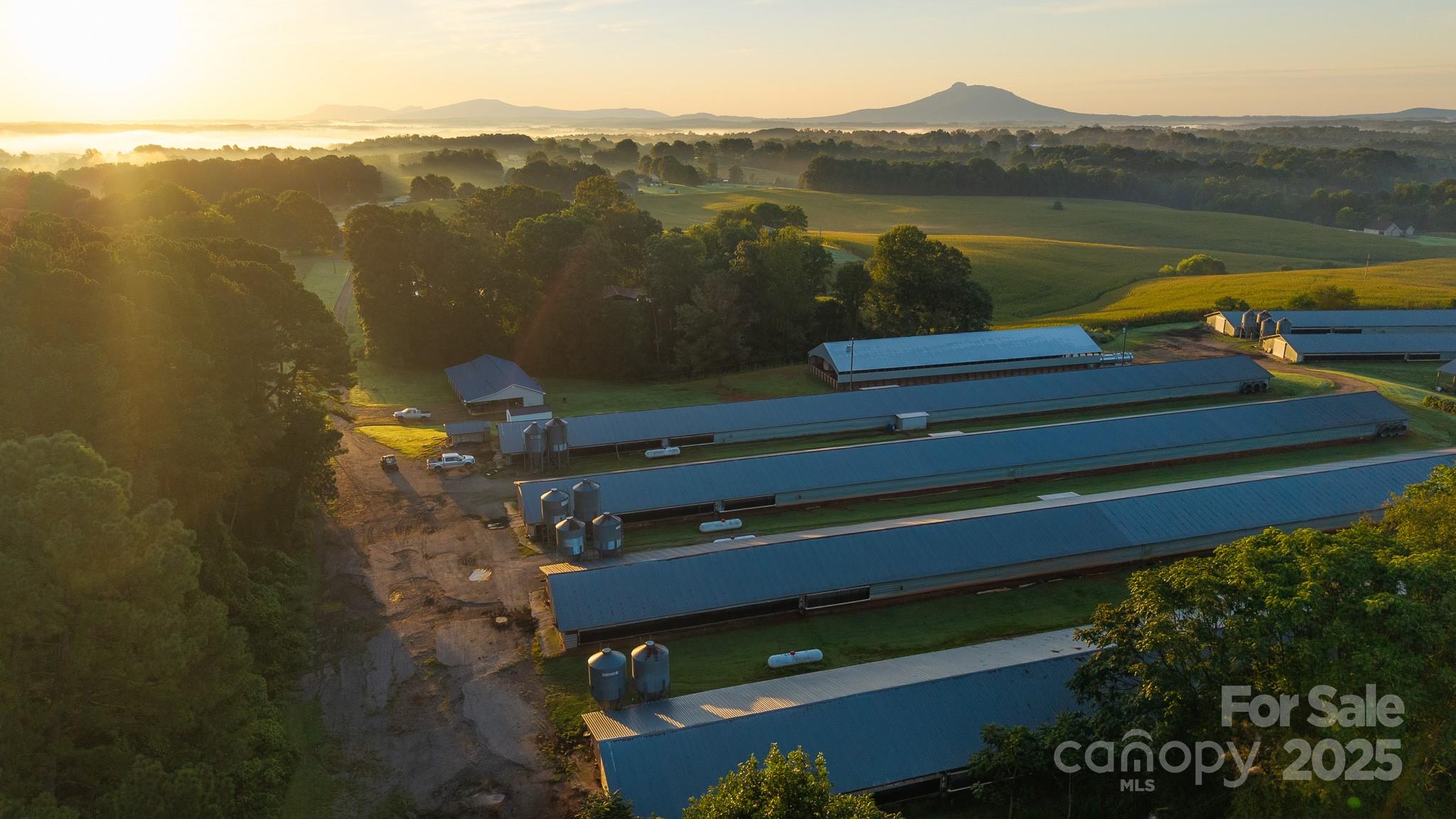 167 Buck Hollow Trail Ararat NC 27007