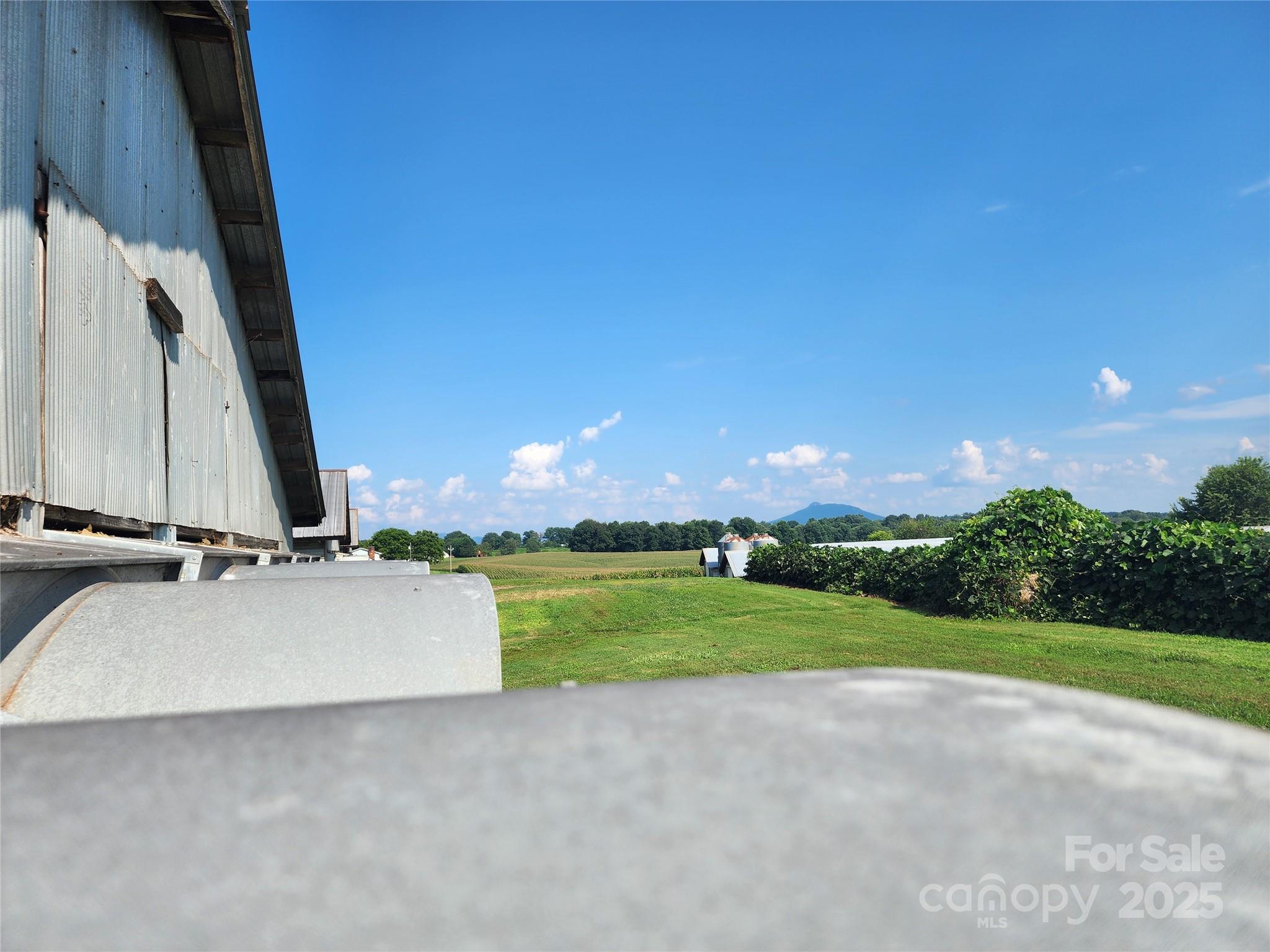 167 Buck Hollow Trail Ararat NC 27007