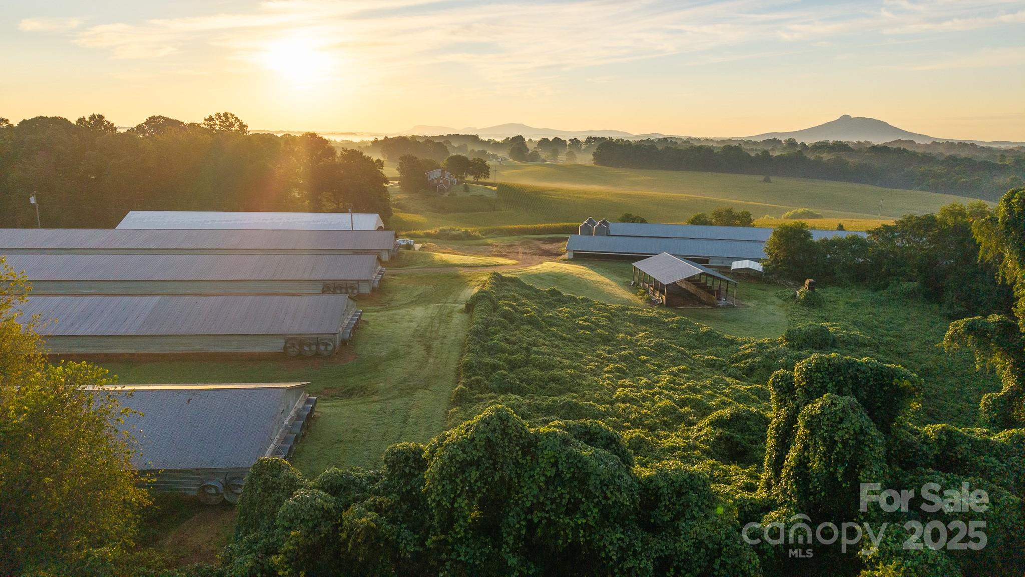 167 Buck Hollow Trail Ararat NC 27007