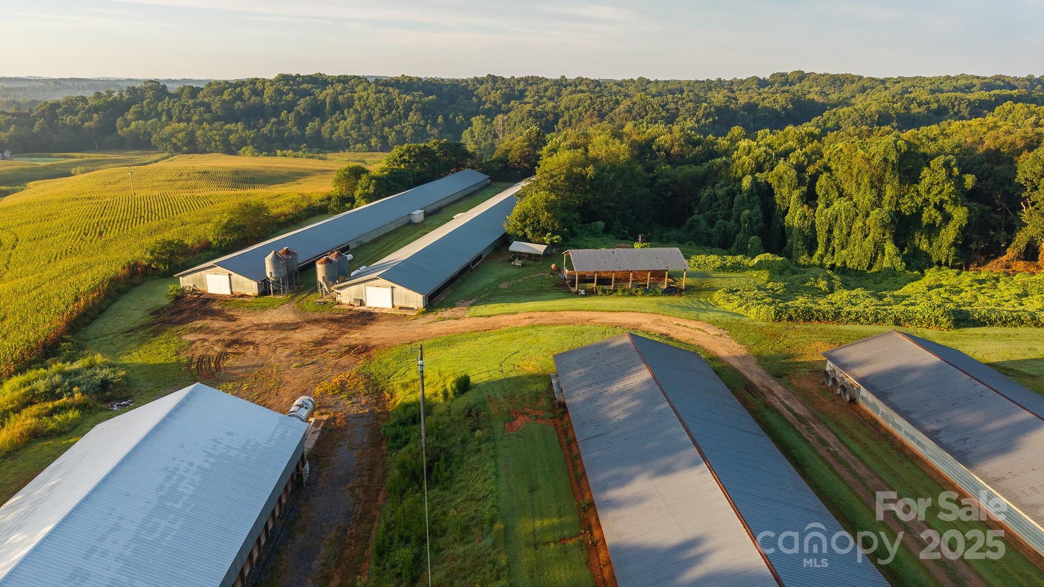 167 Buck Hollow Trail Ararat NC 27007