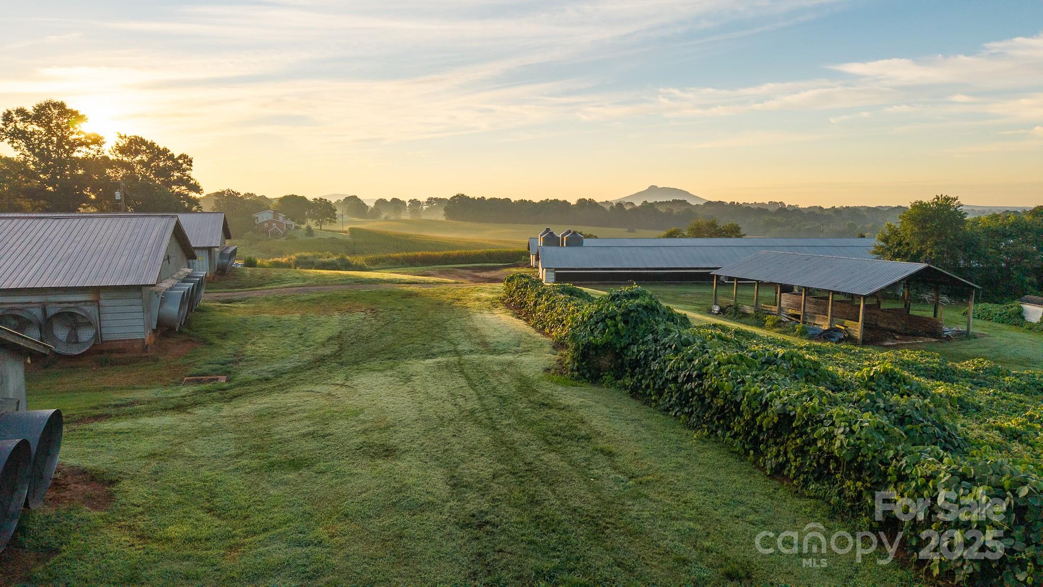 167 Buck Hollow Trail Ararat NC 27007