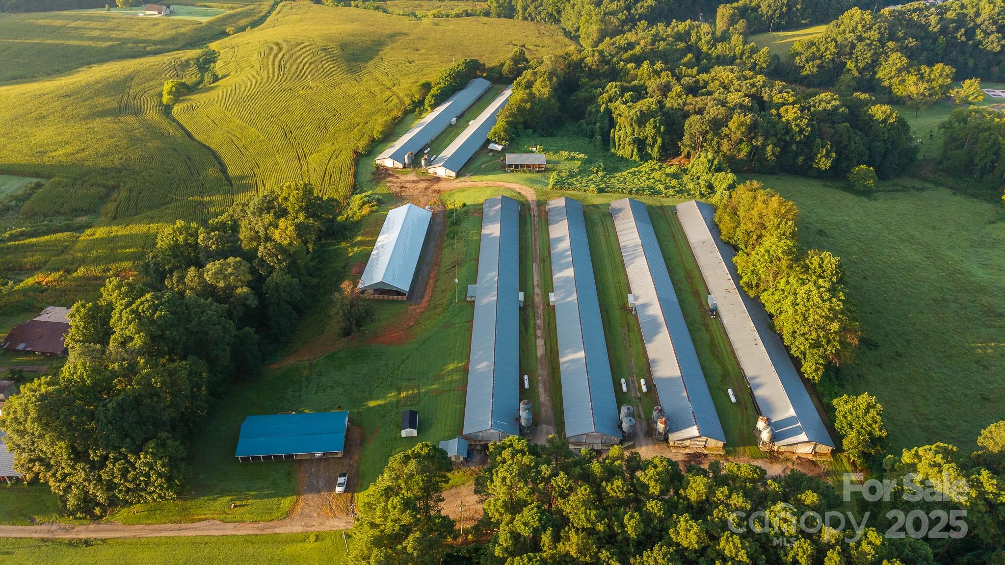 167 Buck Hollow Trail Ararat NC 27007