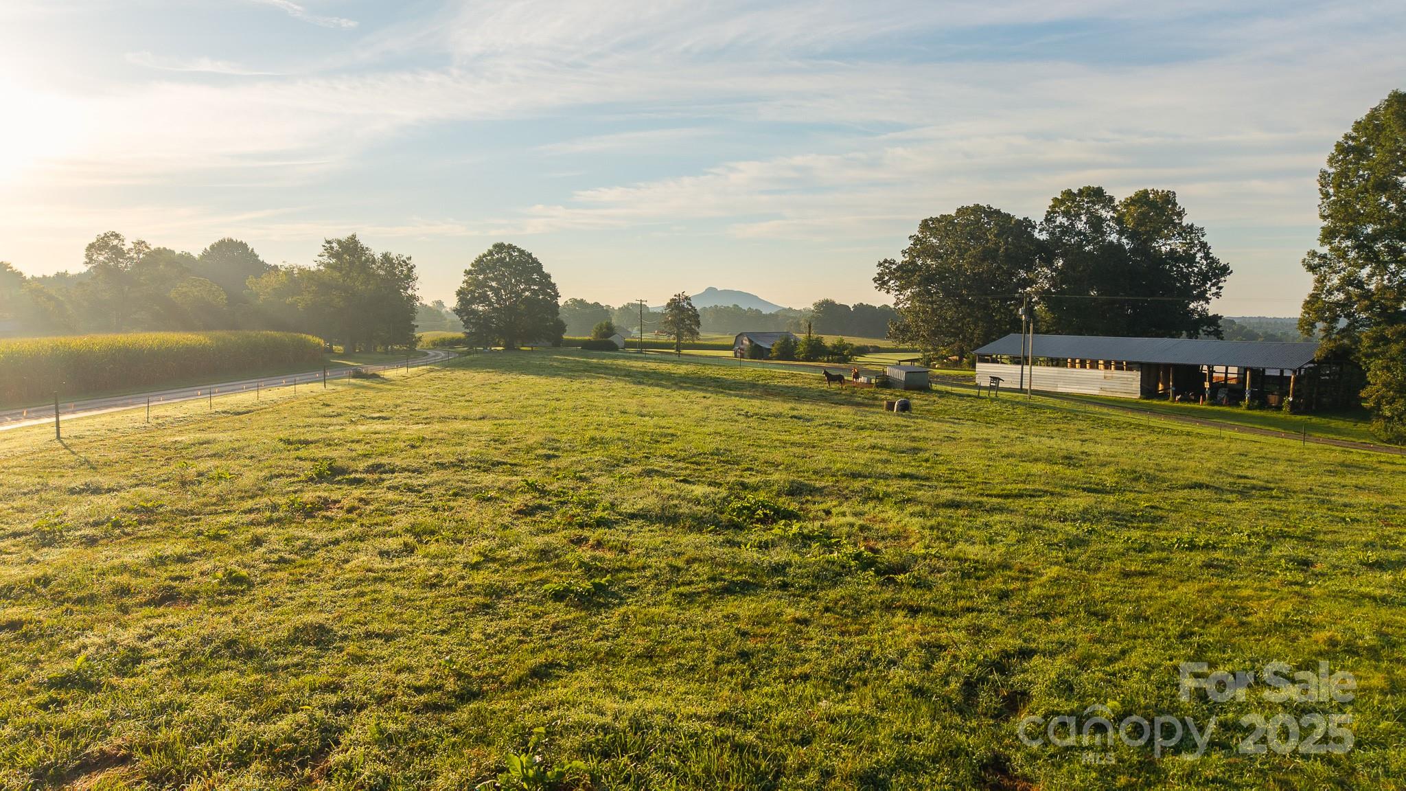 167 Buck Hollow Trail Ararat NC 27007