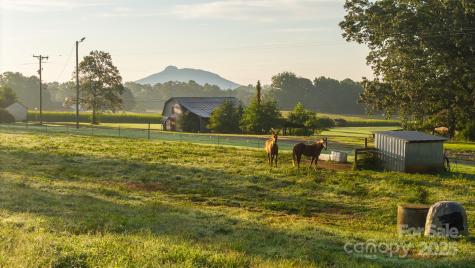 167 Buck Hollow Trail Ararat NC 27007