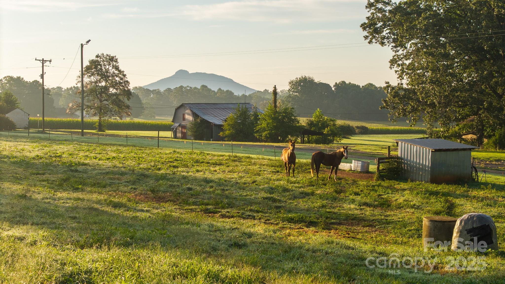 167 Buck Hollow Trail Ararat NC 27007