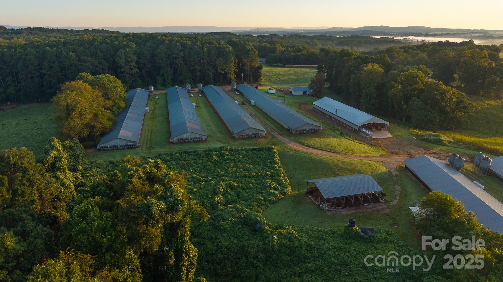 167 Buck Hollow Trail Ararat NC 27007