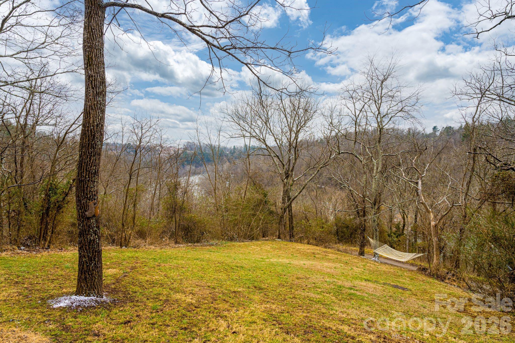 119 Old Salem Branch Drive Alexander NC 28701
