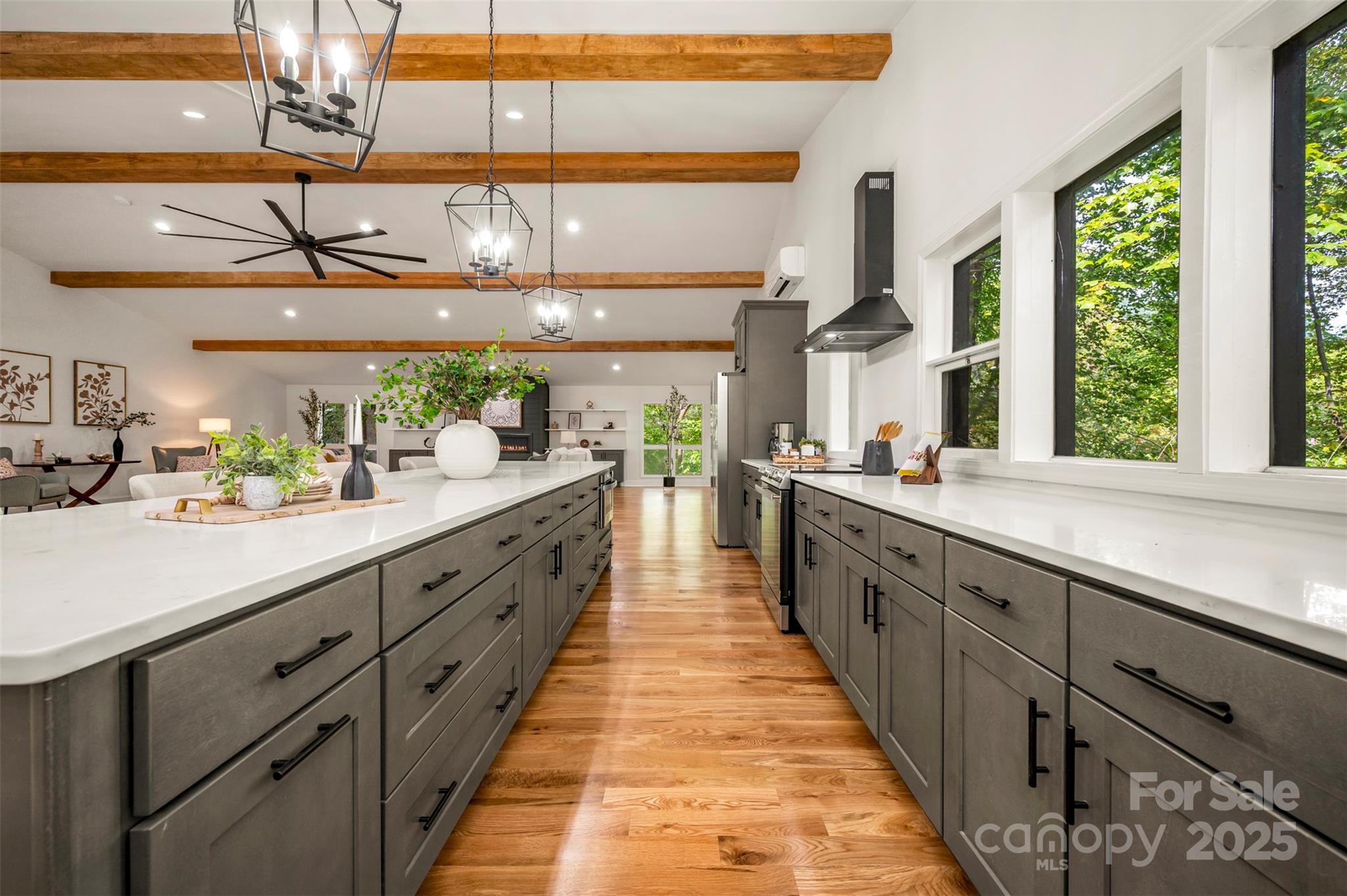 160 Lasae Lane Tryon NC 28782