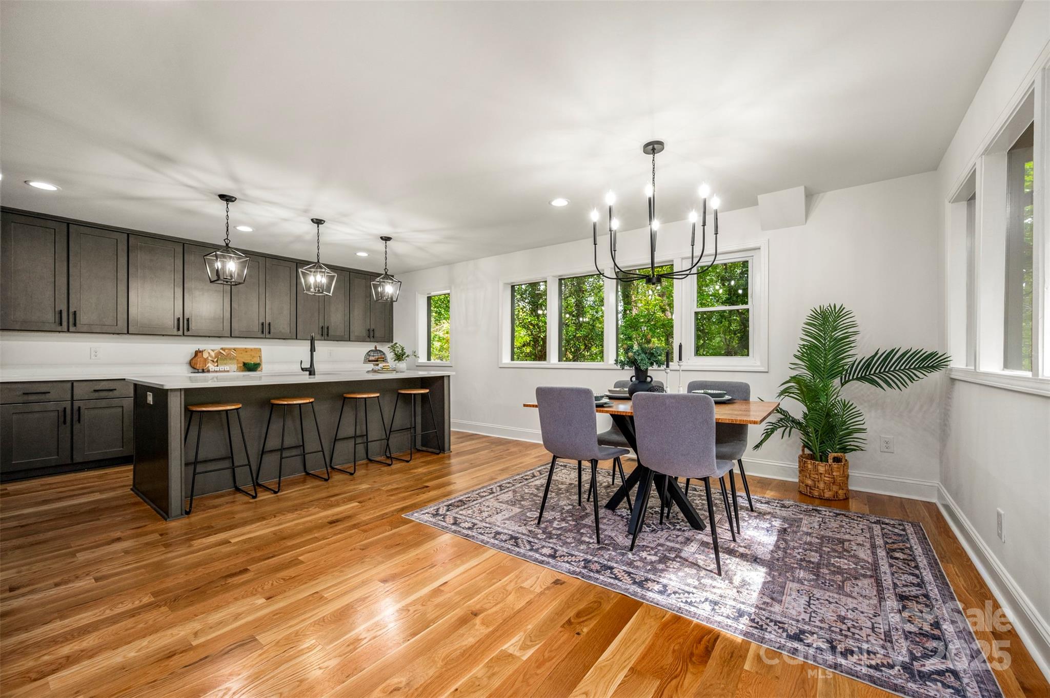 160 Lasae Lane Tryon NC 28782