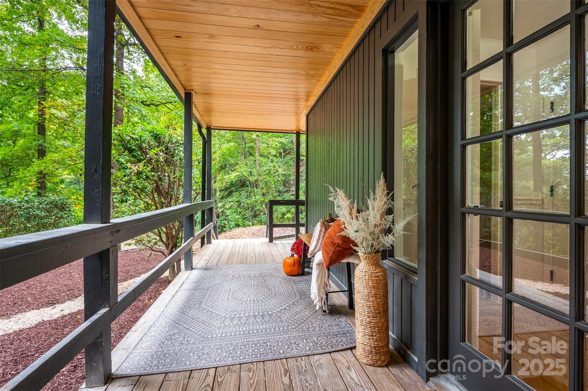 160 Lasae Lane Tryon NC 28782