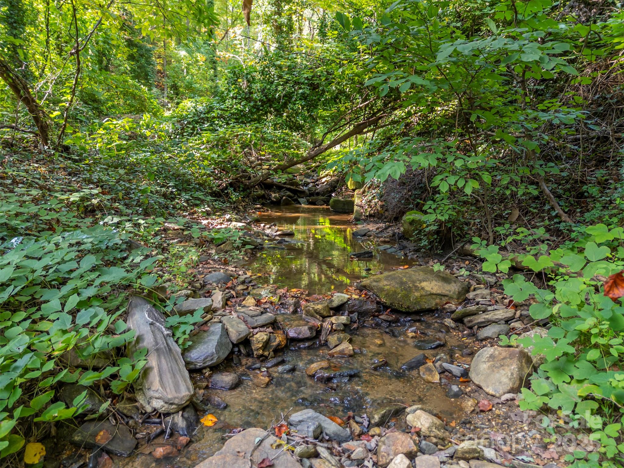 160 Lasae Lane Tryon NC 28782