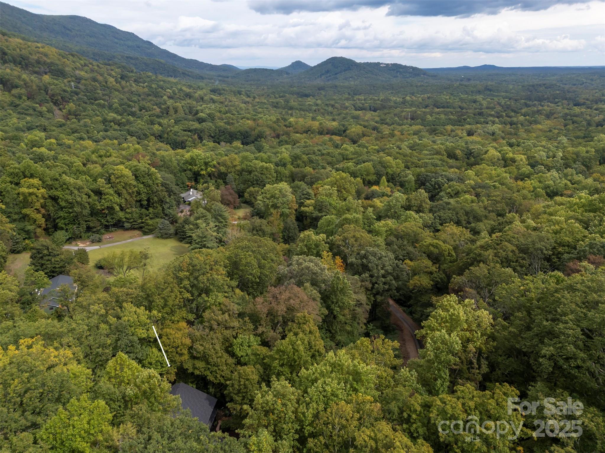 160 Lasae Lane Tryon NC 28782