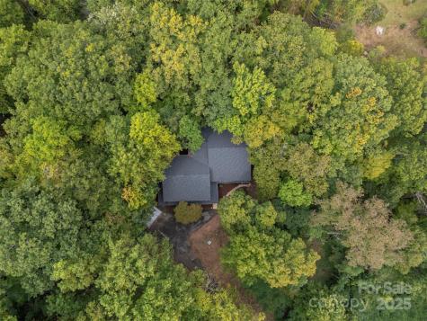160 Lasae Lane Tryon NC 28782
