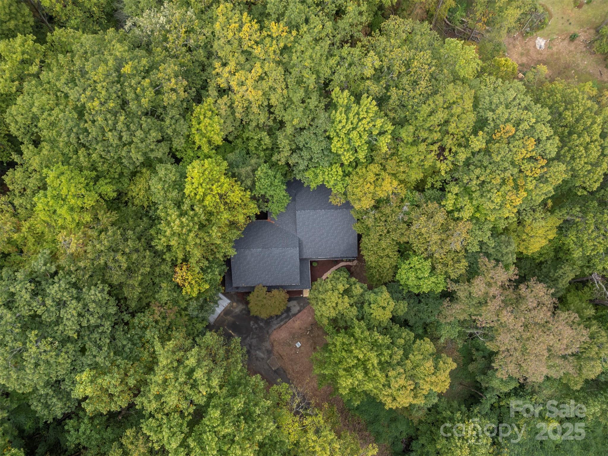 160 Lasae Lane Tryon NC 28782