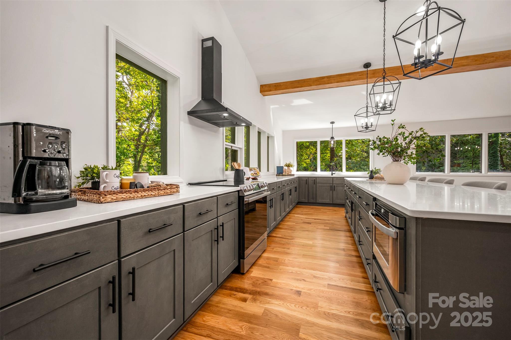 160 Lasae Lane Tryon NC 28782