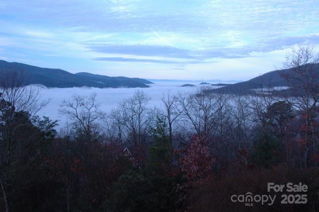 4 Galax Lane Black Mountain NC 28711