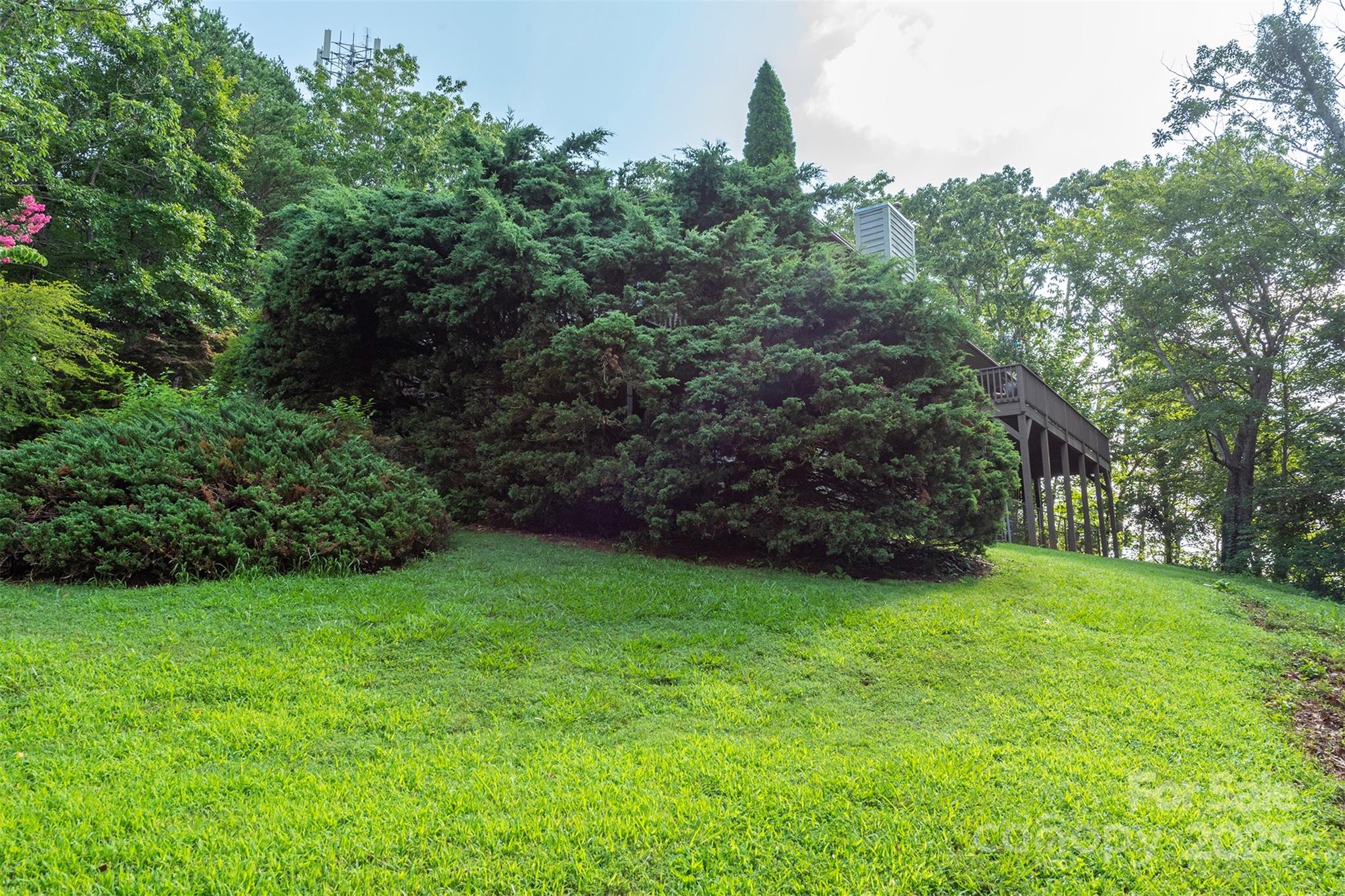 4 Galax Lane Black Mountain NC 28711