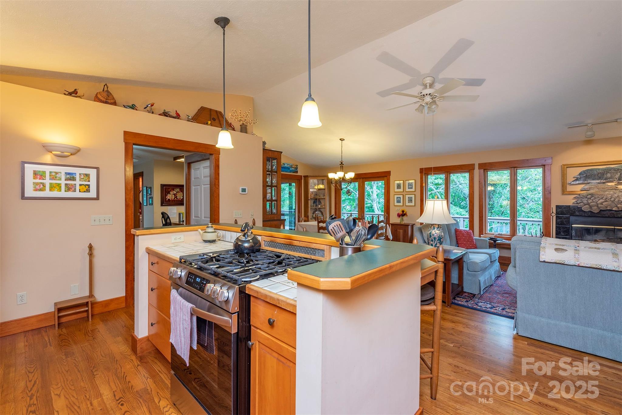 4 Galax Lane Black Mountain NC 28711