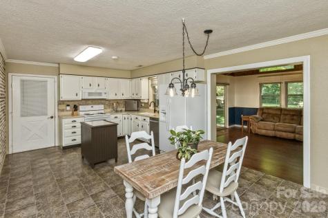29 S Greenwood Forest Drive Etowah NC 28729