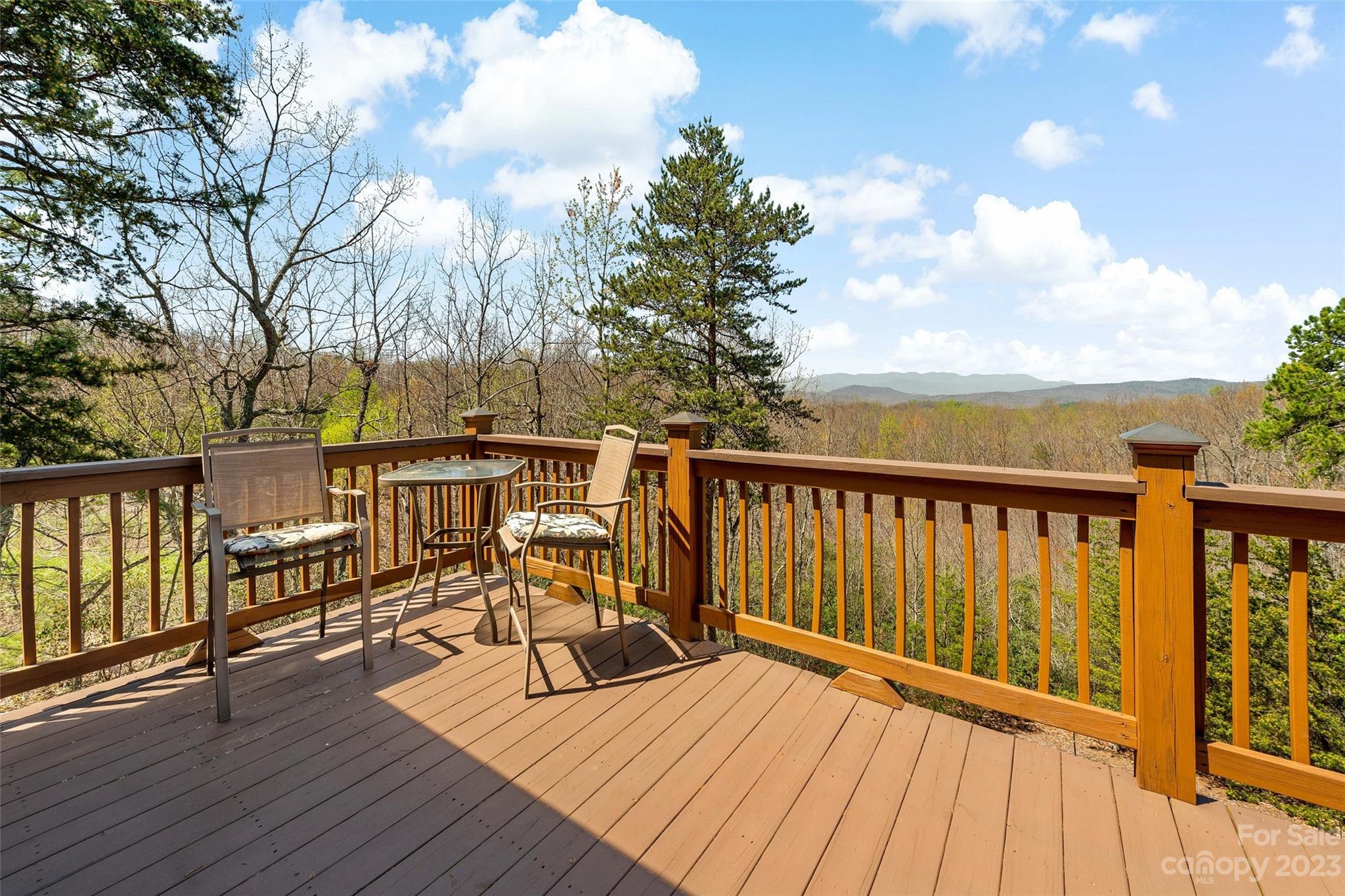 315 Mossy Oak Trail Nebo NC 28761