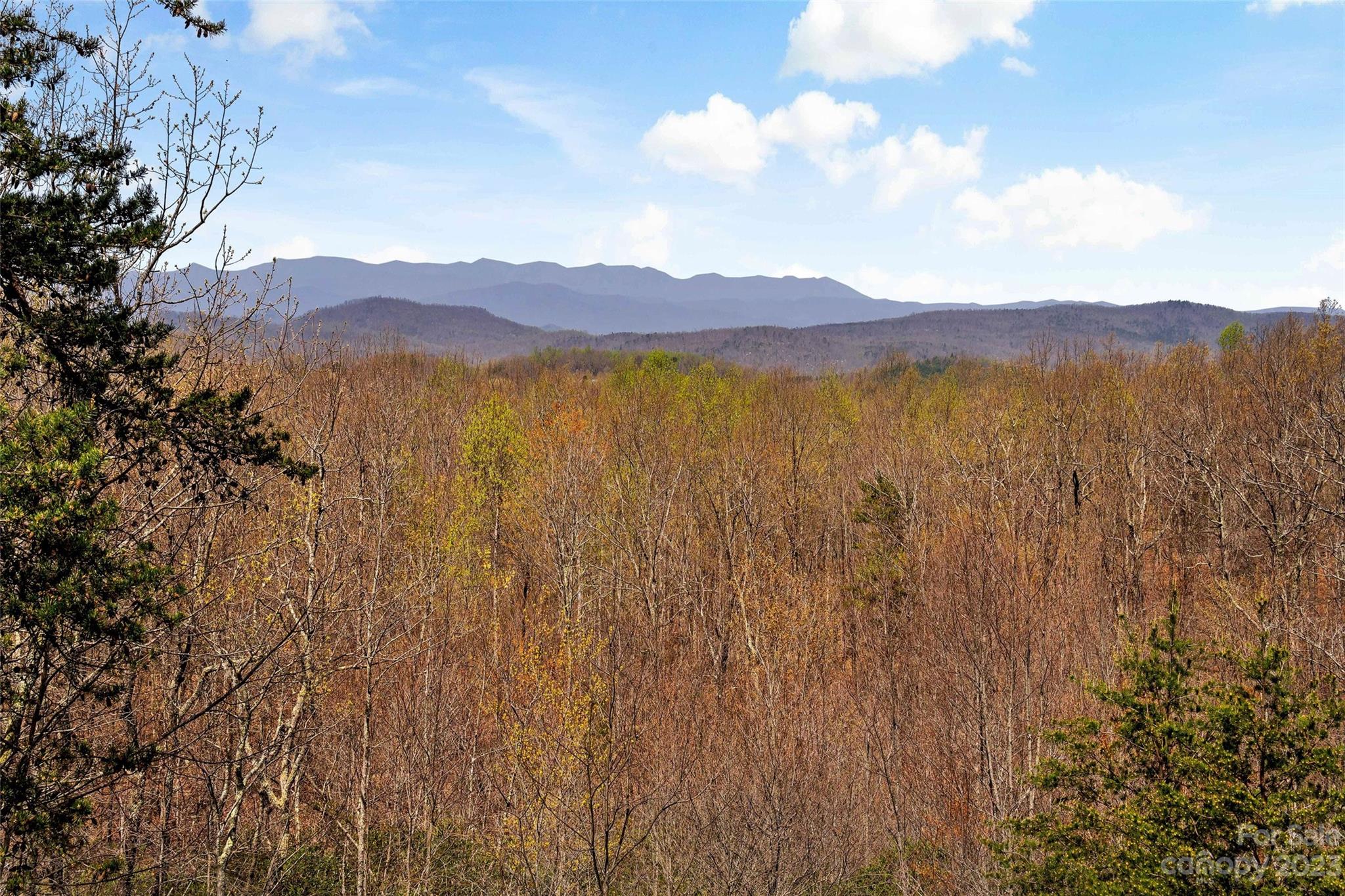 315 Mossy Oak Trail Nebo NC 28761