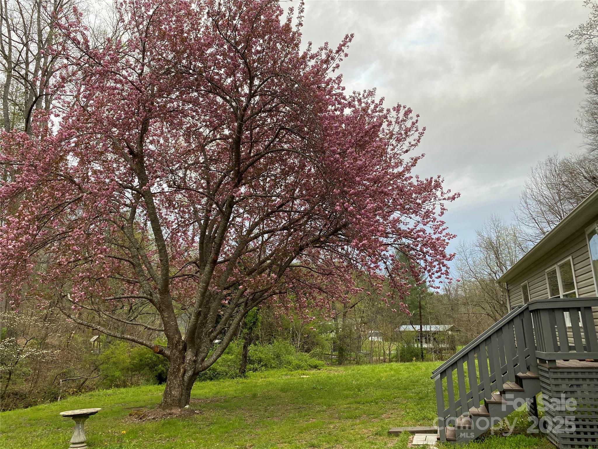 213 Walker Drive Old Fort NC 28762