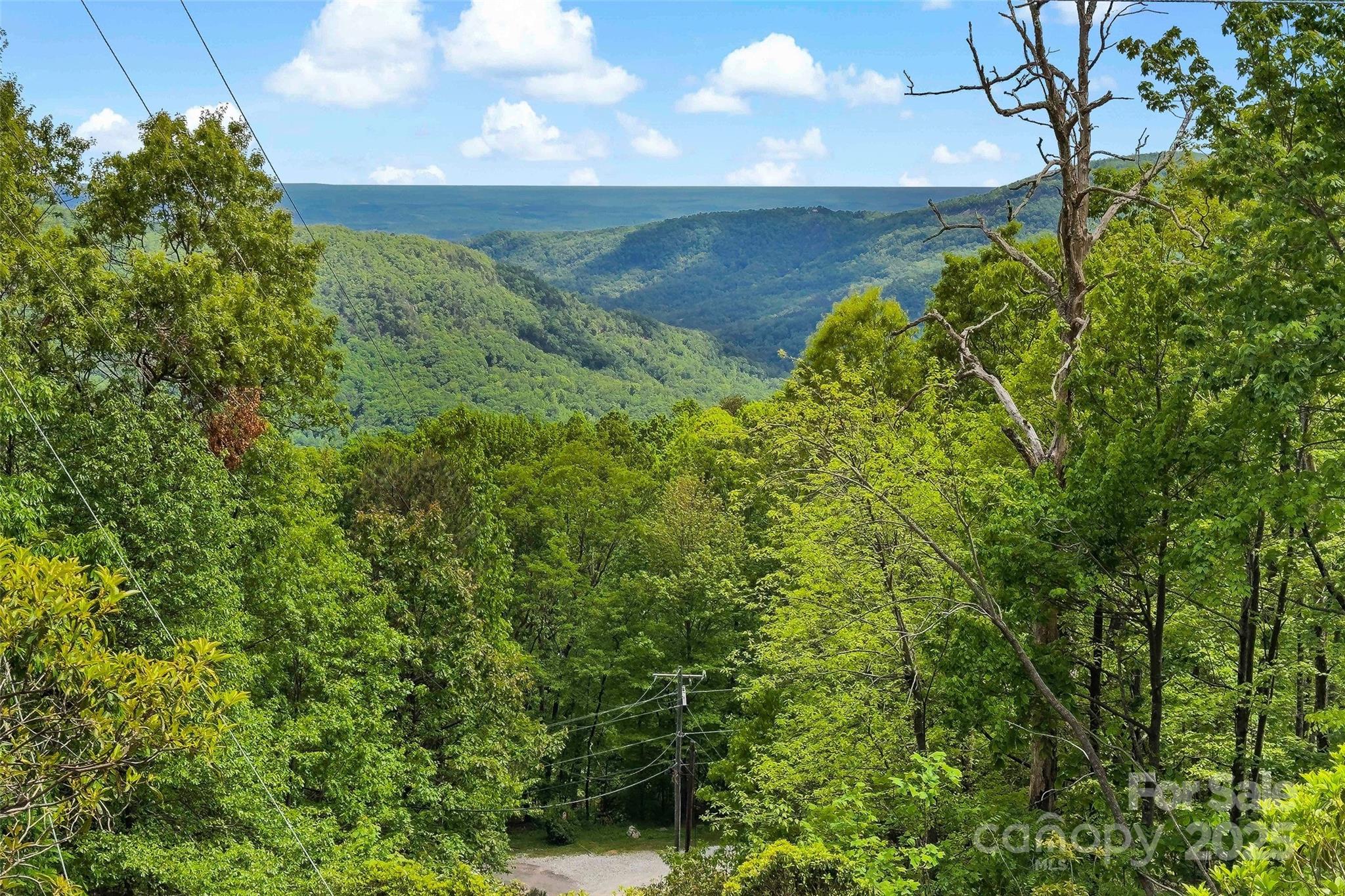 1795 Mckenzie Way N Old Fort NC 28762