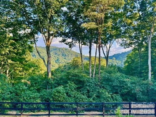 152 Skyview Circle Asheville NC 28804