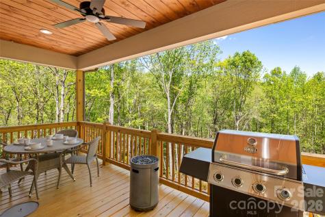 233 Arcadia Falls Way Black Mountain NC 28711