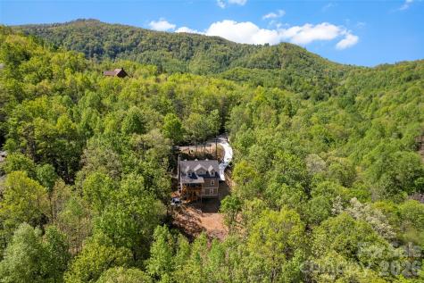 233 Arcadia Falls Way Black Mountain NC 28711